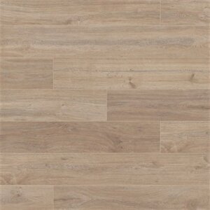 Modera Sarı Kavak 8 Mm Derzli Laminat Parke Vtlp.5966