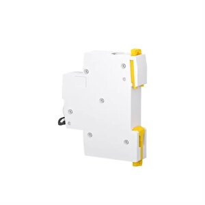 Schnei̇der Electri̇c Acti9 İk60n A9k24125 25a Sigorta (1p, 6ka, C Eğrisi)