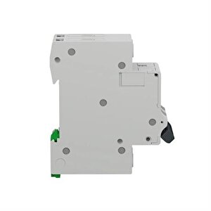 Schnei̇der Electri̇c Easy9 Mcb Ez9f43250 50a Sigorta (2p, 3ka, C Eğrisi)