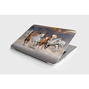 Laptop Sticker Notebook Pc Kaplama Etiketi Atlar