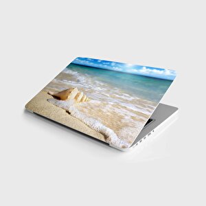 Laptop Sticker Bilgisayar Notebook Pc Kaplama Etiketi Deniz Kabuğu