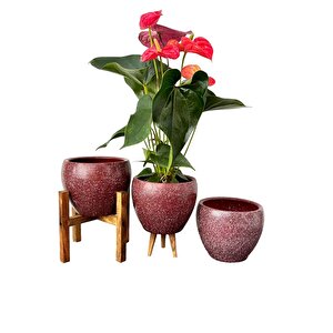 Bitki Tasarımı Bordo Granit Toprak Saksı Saksılık Salon Çiçeklik Üçlü Set - 15 Cm