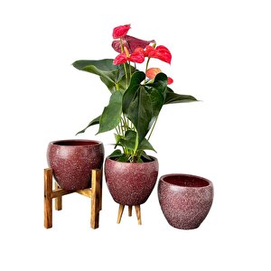 Bitki Tasarımı Bordo Granit Toprak Saksı Saksılık Salon Çiçeklik Üçlü Set - 15 Cm