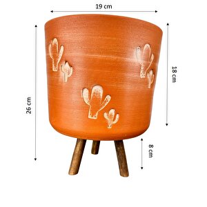 Kaktüs Desenli Toprak Saksı Saksılık Salon Çiçeklik 3 Ayaklı - 19 Cm