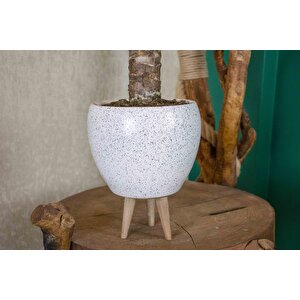 3 Ayaklı Beyaz Granit Terracota Toprak Saksıda Yuka Salon Bitkisi