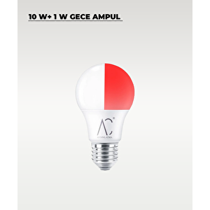 10w+1w Gündüz Ve Gece Ampulü Beyaz - Kırmızı Işık 10 Adet