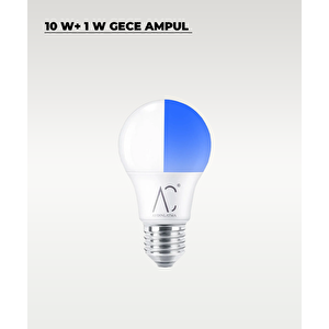 10w+1w Gündüz Ve Gece Ampulü Beyaz - Mavi Işık 10 Adet