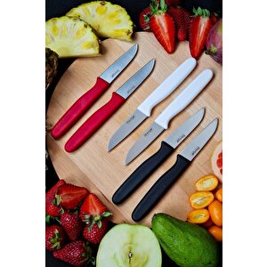 Stevig Cut 4 Fruit 6’lı Mix Meyve Bıçak Seti St-406