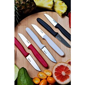 Stevig Cut 4 Fruit 6’lı Mix Meyve Bıçak Seti St-406