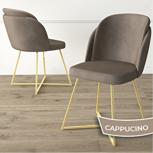 Pape Serisi 4 Adet Cappucino 1. Sınıf Babyface Kumaş Çift Papel Gold Metal Ayaklı Yemek Odası Sandalyesi Cappucino