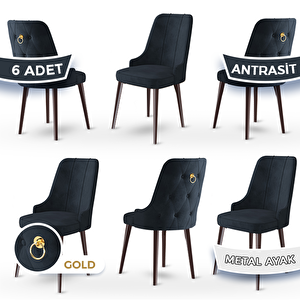 Newa Serisi 6 Adet Antrasit 1.sınıf Babyface Kumaş Kahve Metal Ayaklı Gold Halkalı Sandalye Antrasit