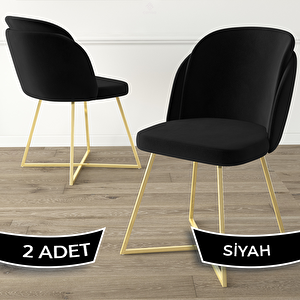 Pape Serisi 2 Adet Siyah 1. Sınıf Babyface Kumaş Çift Papel Gold Metal Ayaklı Yemek Odası Sandalyesi Siyah