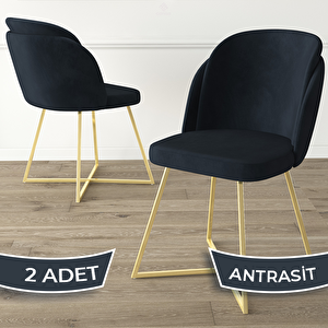 Pape Serisi 2 Adet Antrasit 1. Sınıf Babyface Kumaş Çift Papel Gold Metal Ayaklı Yemek Odası Sandalyesi Antrasit