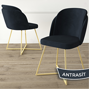 Pape Serisi 2 Adet Antrasit 1. Sınıf Babyface Kumaş Çift Papel Gold Metal Ayaklı Yemek Odası Sandalyesi Antrasit