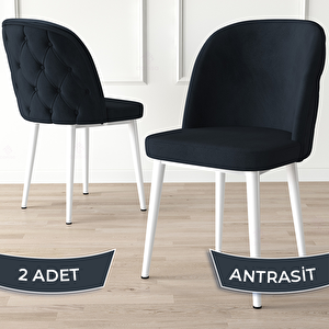 Kage Serisi 2 Adet Antrasit 1. Sınıf Babyface Kumaş Kapitoneli Beyaz Metal Ayaklı Yemek Odası Sandalyesi Antrasit