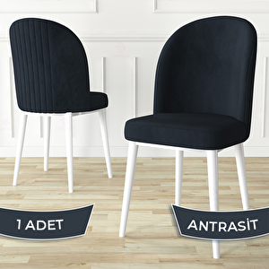 Aste Serisi 1 Adet Antrasit 1. Sınıf Babyface Kumaş Metal Beyaz İskeletli Yemek Odası Sandalyesi Antrasit