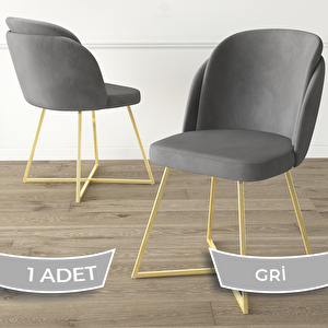 Pape Serisi 1 Adet Gri 1. Sınıf Babyface Kumaş Çift Papel Gold Metal Ayaklı Yemek Odası Sandalyesi Gri