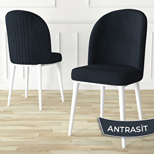 Aste Serisi 4 Adet Antrasit 1. Sınıf Babyface Kumaş Metal Beyaz İskeletli Yemek Odası Sandalyesi Antrasit