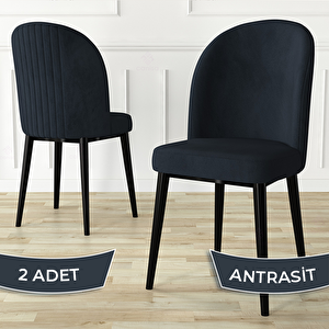 Aste Serisi 2 Adet Antrasit 1. Sınıf Babyface Kumaş Metal Siyah İskeletli Yemek Odası Sandalyesi Antrasit