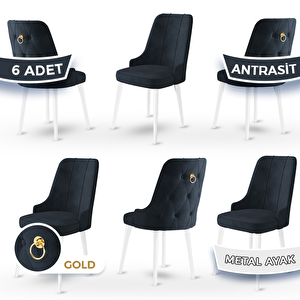 Newa Serisi 6 Adet Antrasit 1.sınıf Babyface Kumaş Beyaz Metal Ayaklı Gold Halkalı Sandalye Antrasit