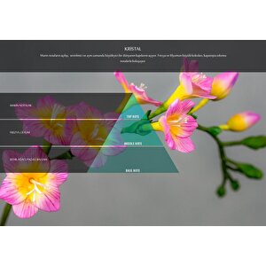 Kristal Koku Kartuşu 200 Ml (m7)