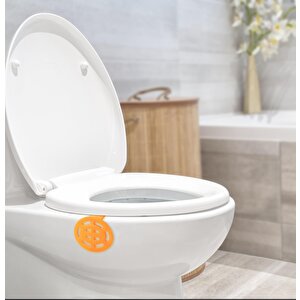 Rulopak Askılı Koku Giderici Mango