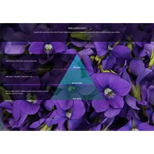 Trillion Lady Kartuşu 200 Ml (m7)