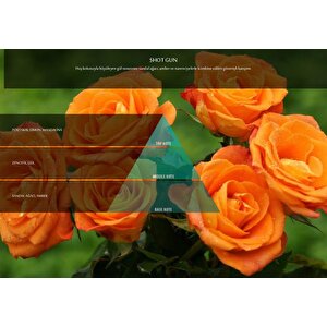 Rulopak Shotgun Koku Kartuşu 200 Ml (m7)