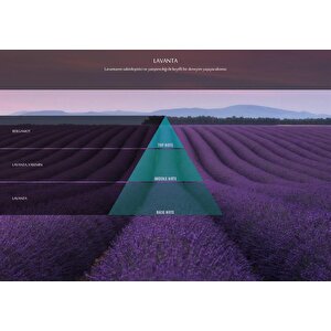 Rulopak Lavanta Koku Kartuşu 200 Ml (m7)