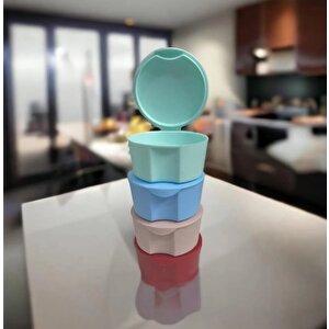 Mini Beslenme Kutuları 4'lü Karışık Renkli