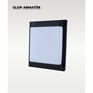 30 W Carpo Siyah Plastik Led Glop Beyaz Işık