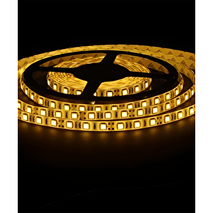 28x35 İç Mekan 3 Çip Şerit Led Gün Işığı 5mt