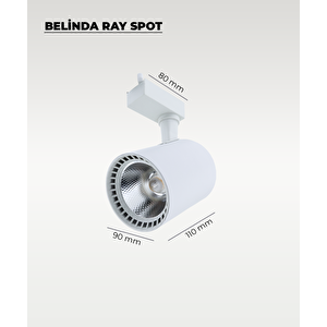 30w Beyaz Ray Spot Belinda Beyaz Işık