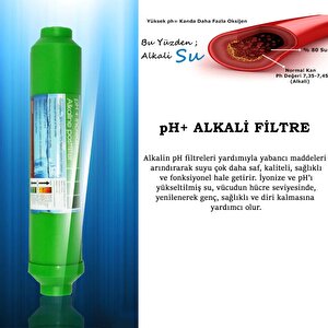 Tüm Su Arıtma Cihazları Uyumlu Ph+alkaline Filtre