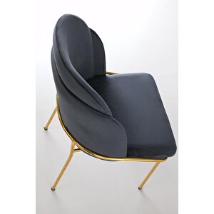 4 Adet Limon Sandalye Metal Krom Sandalye Mutfak Salon Yemek Odası Sandalyesi