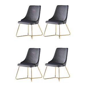 4 Adet Alya Sandalye Metal Gold Halkalı Sandalye Mutfak Salon Yemek Odası Sandalyesi