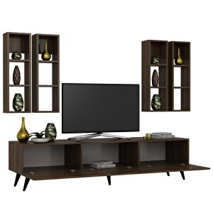 Festival Tv Ünitesi Q3002-2 Ceviz