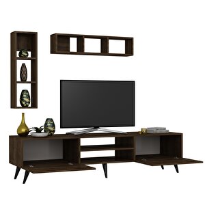 Festival Tv Ünitesi Q3005-2 Ceviz