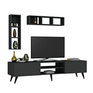 Festival Tv Ünitesi Q3005-4 Antrasit