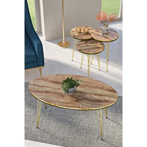 Zigon Sehpa Ve Orta Sehpa Elips Set Çift Gold Ceviz Tel