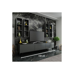 Festival Tv Ünitesi Q3802-4 Antrasit