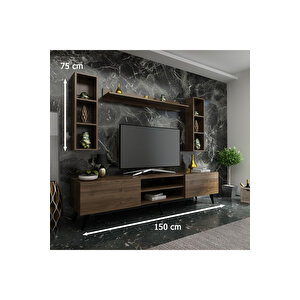 Festival Tv Ünitesi Q3809-2 Ceviz