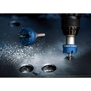 Bosch Expert 49 Mm Elmaslı İnox Panç Adaptörlü 2608901432