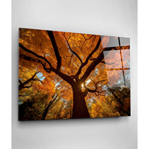 Ağaç Cam Tablo, Dekoratif Cam Tablo 50x70 cm