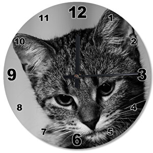 Sevimli Kedi Ahşap Duvar Saati