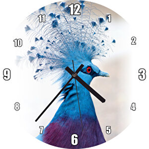 Viktorya Taçlı Güvercin Yakın Çekim Duvar Saati