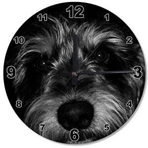 Siyah Köpek Ahşap Duvar Saati