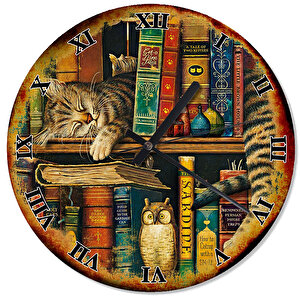 Eski Zeminde Kütüphanede Uyuyan Kedi Duvar Saati