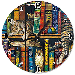 Ahşap Zeminde Kütüphanede Uyuyan Kedi Duvar Saati