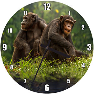 Göl Kıyısındaki Şempanzeler Duvar Saati